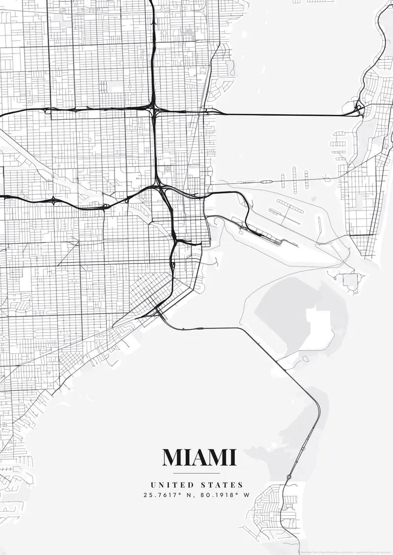 Miami Monochrome Pro map poster