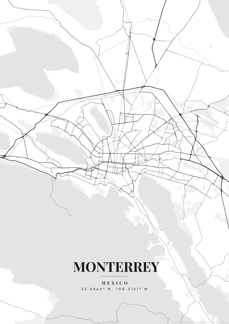 Monterrey Monochrome Pro map poster