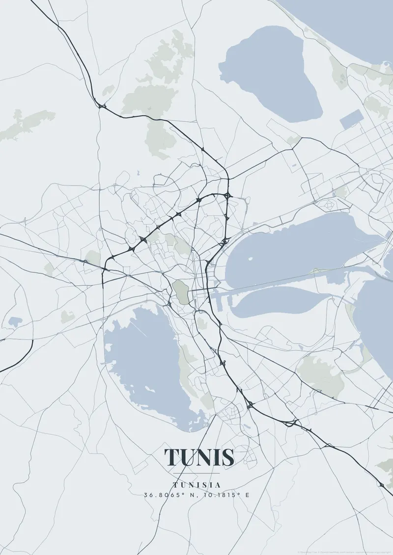 Tunis Nordic Fjord map poster