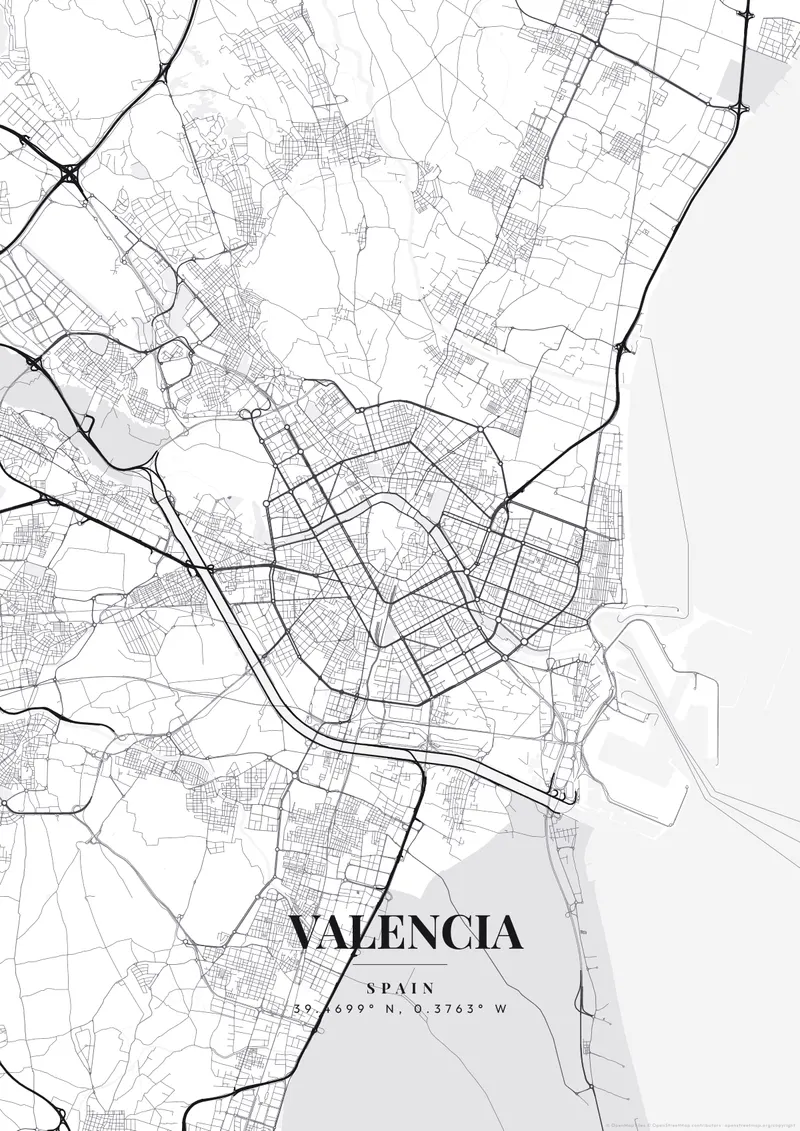 Valencia Monochrome Pro map poster